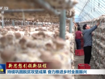 【新思想引領(lǐng)新征程】持續(xù)鞏固脫貧攻堅(jiān)成果 奮力推進(jìn)鄉(xiāng)村全面振興