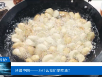 【渭南科普】科普中國——為什么我們要吃油？