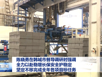 陳曉勇在韓城市督導調研時強調 全力以赴穩增長保安全護穩定 堅定不移完成全年各項目標任務
