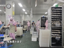 臨渭區(qū)人社局：織密就業(yè)圈  提升就業(yè)率