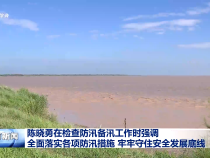 陳曉勇在檢查防汛備汛工作時強調 全面落實各項防汛措施牢牢守住安全發展底線