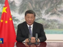 我國(guó)提前完成“十四五”紅樹林營(yíng)造任務(wù)