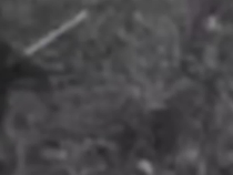 鐵漢將軍戴安瀾：為國戰死 事極光榮