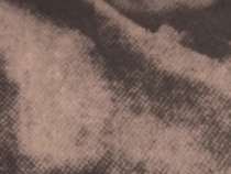 一份從未公開(kāi)的絕密檔案