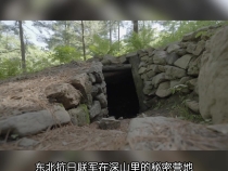 一盤餃子背后的家國情