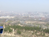 臨渭區(qū)林業(yè)局：嚴(yán)要求 零容忍 全力守護(hù)臨渭綠水青山