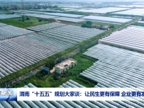 渭南“十五五”規劃大家談：讓民生更有保障 企業更有發展