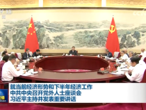 就當前經濟形勢和下半年經濟工作 中共中央召開黨外人士座談會 習近平主持并發表重要講話