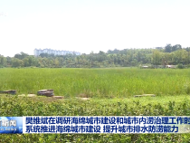 樊維斌在調研海綿城市建設和城市內澇治理工作時強調 系統(tǒng)推進海綿城市建設 提升城市排水防澇能力