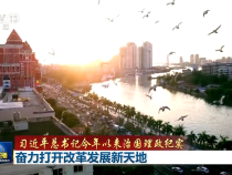 【習近平總書記今年以來治國理政紀實】奮力打開改革發展新天地