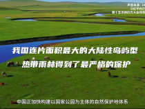 4269平方公里，習近平關切這個綠色“國寶”