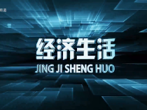0804經濟生活