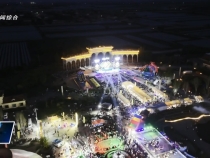 第六屆渭南葡萄音樂季暨美食游樂嘉年華開幕