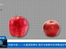 【渭南科普】科普中國——從基因到果形 園藝專家教你科學甄選好蘋果