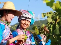 總書記的人民情懷｜“中國(guó)式現(xiàn)代化是全體人民共同富裕的現(xiàn)代化”