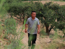 高斌峰：從“椒”傲少年到“椒”富帶頭人