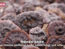 時(shí)政微視頻丨大食物觀里的人民情懷