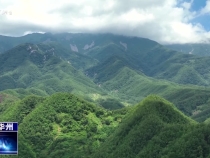 【瞰華州】溪畔田園 優美生態  