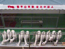 【國家現(xiàn)代農(nóng)業(yè)產(chǎn)業(yè)園如何打造超級(jí)區(qū)域IP】羊乳文化新勢(shì)力 區(qū)域品牌加速?zèng)_