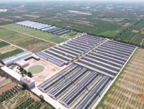 【國家現(xiàn)代農(nóng)業(yè)產(chǎn)業(yè)園如何打造超級(jí)區(qū)域IP】錨定櫻桃首位產(chǎn)業(yè) 全產(chǎn)業(yè)鏈深度融合發(fā)展