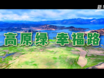 輝煌60載·魅力新西藏｜高原綠 幸福路