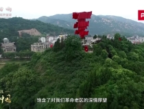 【牢記囑托·看見美好中國】“紅綠”生金 繪就老區(qū)新景