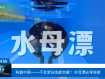 【渭南科普】科普中國——不會游泳也能自救？水母漂必學技能
