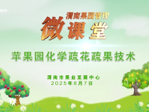 【渭南果園管理微課堂】蘋果園化學(xué)疏花疏果技術(shù)