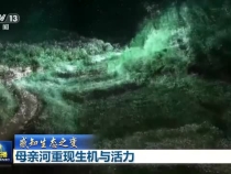 母親河重現(xiàn)生機(jī)與活力