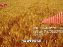 戰(zhàn)略疊加優(yōu)勢(shì)，如何變?yōu)榘l(fā)展勝勢(shì)