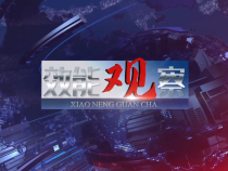 8月13日效能觀察