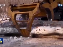 感知生態(tài)之變丨我國成為全球增綠最多最快的國家