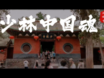 少林中國魂