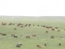 讓綠水青山成為金山銀山