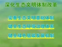 美麗中國 綠意縱橫