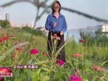 “共抓大保護(hù)，不搞大開發(fā)” 長江新畫卷正徐徐展開