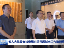 省人大常委會檢查組來渭開展城市工作監督檢查