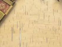 幸會中國 _ 走進(jìn)五指山，探秘“人與自然和諧共生”之道