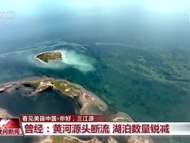 看見美麗中國丨三江源20年蛻變：千湖歸來 “中華水塔”煥新生