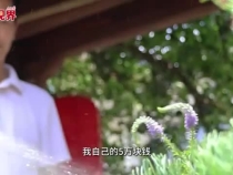 余村二十年的綠色蝶變