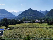 8月18日臨渭新聞