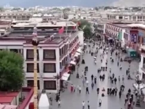 傳習錄丨總書記心系雪域高原