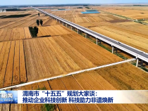 渭南市“十五五”規劃大家談：推動企業科技創新 科技助力非遺煥新