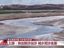 看見美麗中國丨把斷流之痛化作生態之美 母親河生態蛻變向“綠”而行