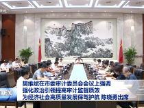 樊維斌在市委審計委員會會議上強調 強化政治引領提高審計監督質效 為經濟社會高質量發展保駕護航 陳曉勇出席