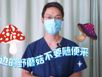 【健康渭南】警惕野蘑菇 勿做菇勇者