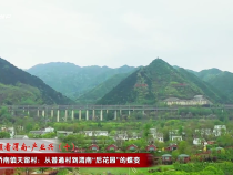 【千萬工程看渭南·產(chǎn)業(yè)興】臨渭區(qū)橋南鎮(zhèn)天留村：從普通村到渭南“后花園”的蝶變