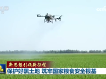【新思想引領新征程】保護好黑土地 筑牢國家糧食安全根基