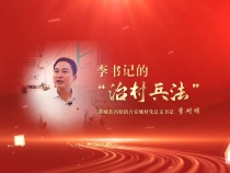《學習身邊榜樣》李書記的“治村兵法”