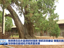 陳曉勇在白水縣調研時強調 狠抓項目建設?做強文旅產業?加快推動縣域經濟高質量發展